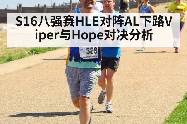 S16八强赛HLE对阵AL下路Viper与Hope对决分析